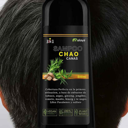 kit shampo anti canas -  Quita las canas en minutos