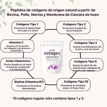 Polvo de Colágeno múltiple