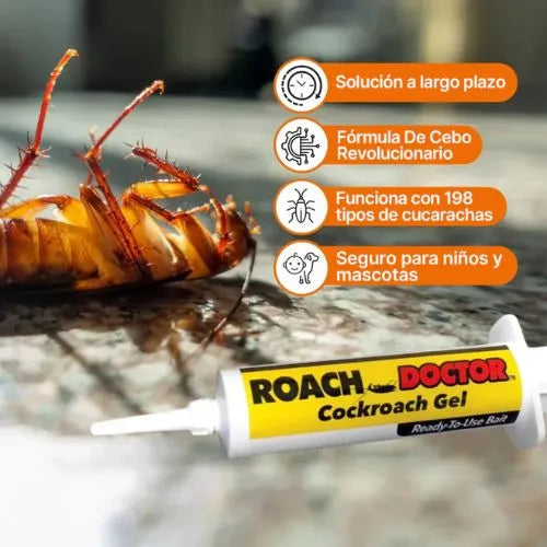 Acaba con las cucarachas desde su nido